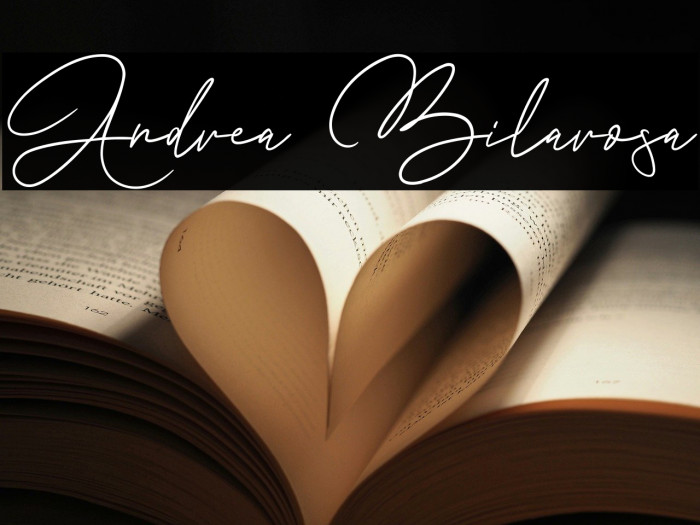 Andrea Bilarosa Example 2