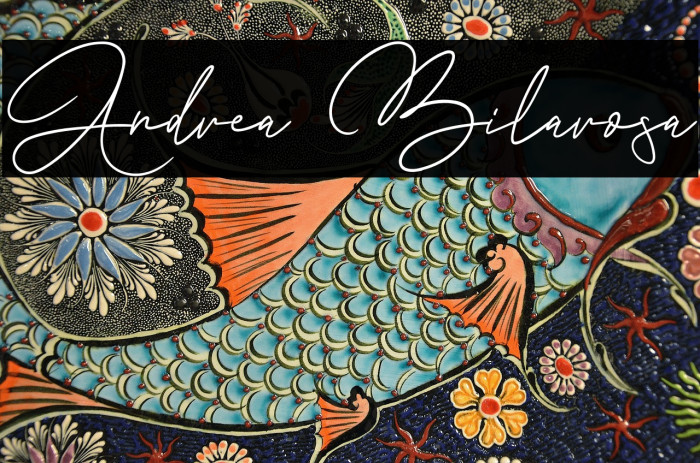 Andrea Bilarosa Example 3