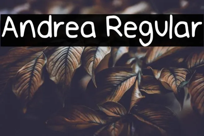 Andrea Regular Example 1
