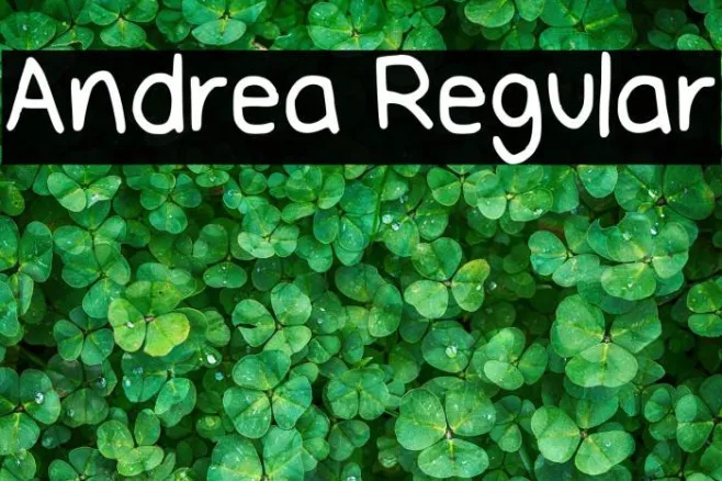 Andrea Regular Example 2