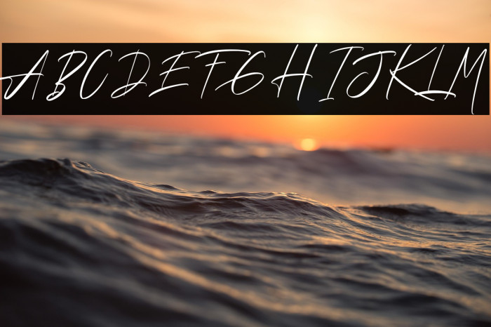 Andrea Roft Personal Use Example 2