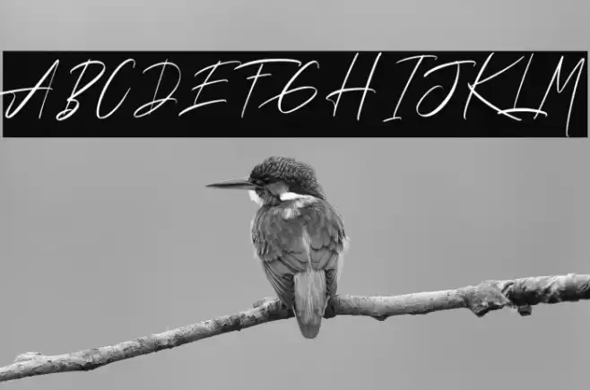 Andrea Roft Personal Use Font examples