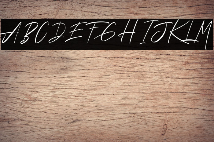 Andrea Roft Personal Use Example 2