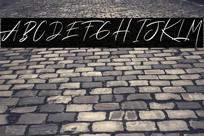 Andrea Roft Personal Use Example 3