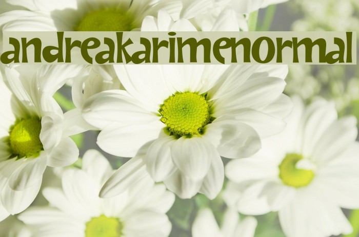AndreaKarimeNormal Font examples
