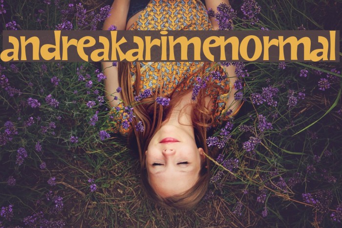 AndreaKarimeNormal Font examples