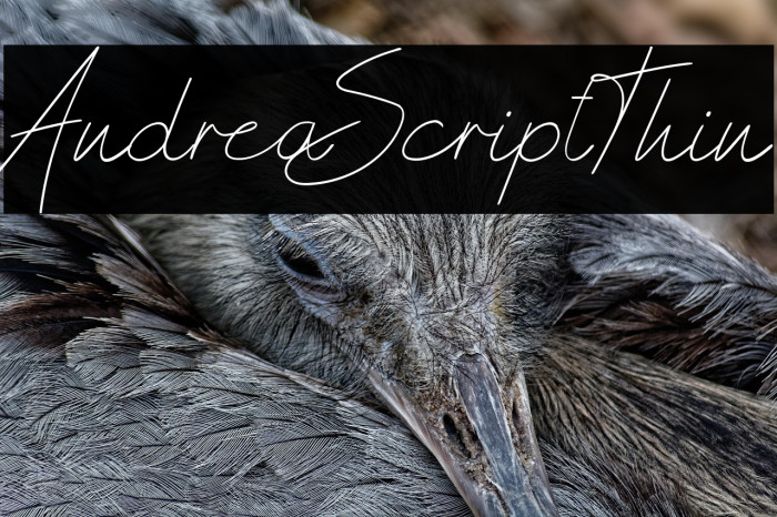 AndreaScriptThin Example 1