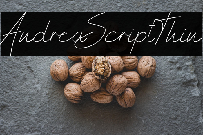 AndreaScriptThin Example 2