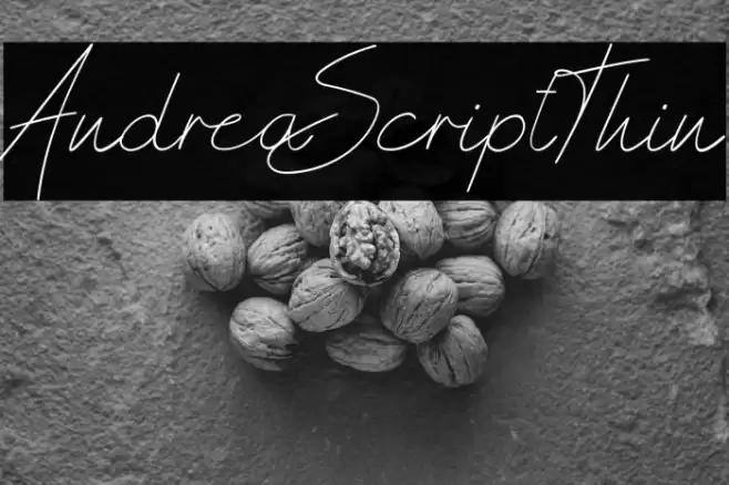 AndreaScriptThin Font examples