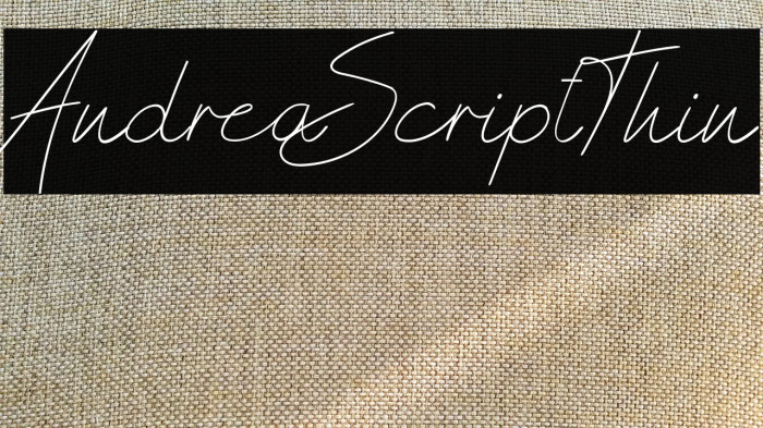 AndreaScriptThin Example 3