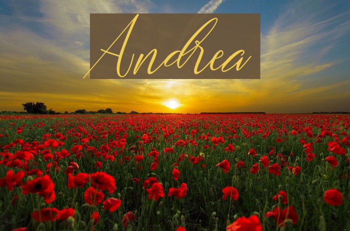 Andrea Font examples