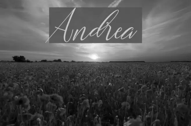 Andrea Font examples