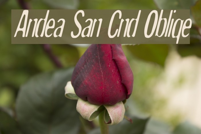 Andreas Sans Cnd Oblique Font examples