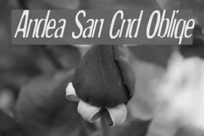 Andreas Sans Cnd Oblique Fonte examples