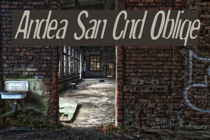 Andreas Sans Cnd Oblique Font examples