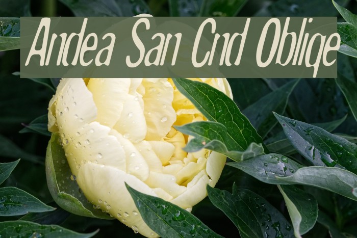Andreas Sans Cnd Oblique Font examples