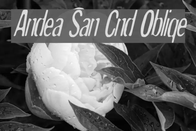 Andreas Sans Cnd Oblique Fonte examples