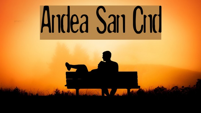 Andreas Sans Cnd Caratteri examples