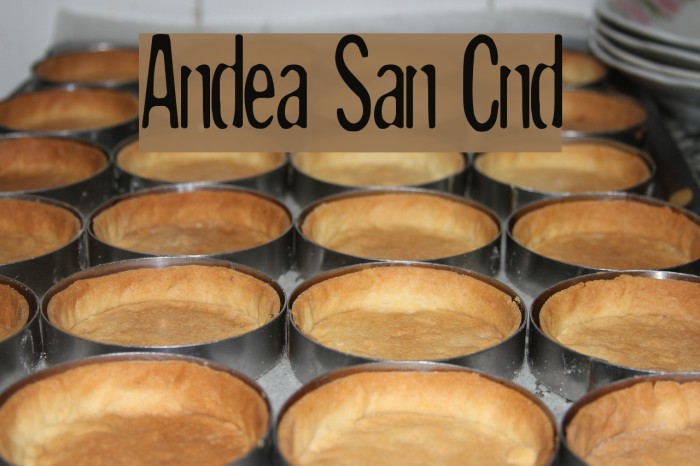 Andreas Sans Cnd Caratteri examples