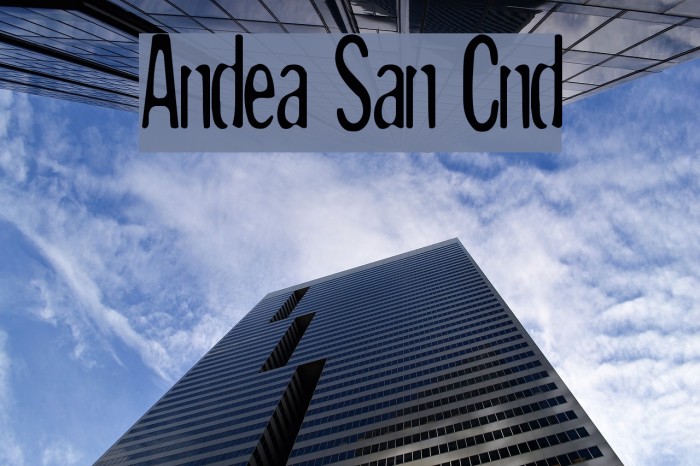 Andreas Sans Cnd Caratteri examples