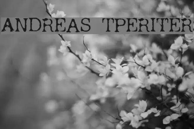 Andreas Typewriter フォント examples