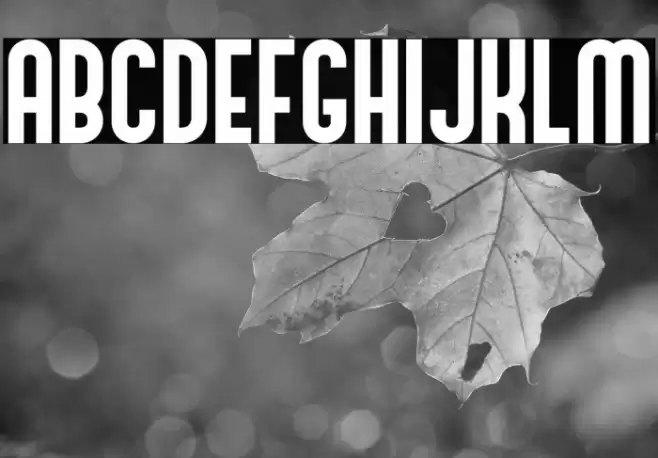 Andreas Font examples