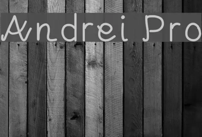 Andrei Pro Font examples
