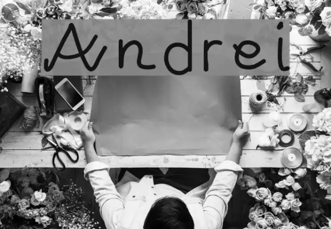 Andrei Font examples