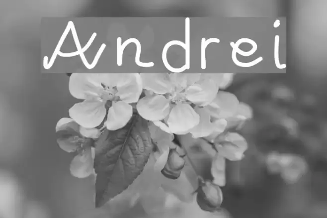 Andrei Font examples