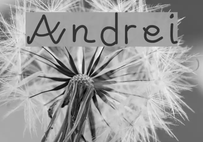 Andrei Font examples