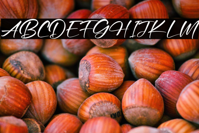 Andresta Montera Example 2