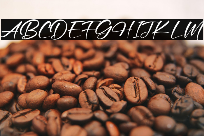 Andresta Montera Example 3