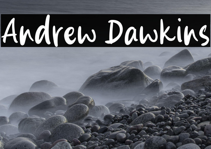 Andrew Dawkins Example 1