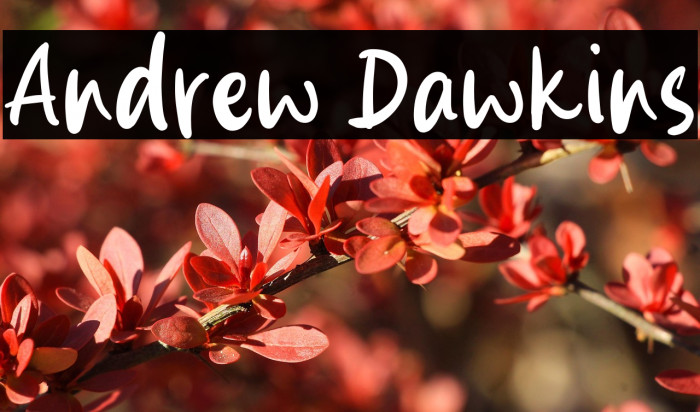 Andrew Dawkins Example 3