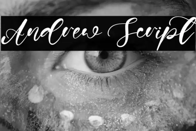 Andrew Script Font examples