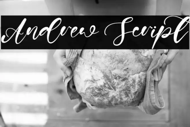 Andrew Script Font examples