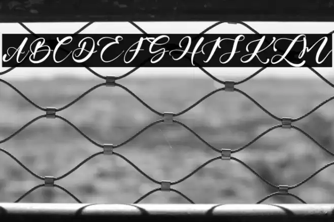 AndrewScript Font examples