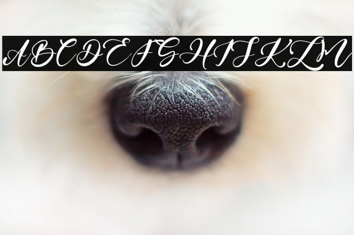 AndrewScript Example 3