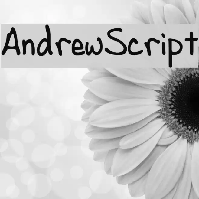 AndrewScript Schriftart examples