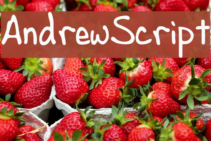 AndrewScript Font examples