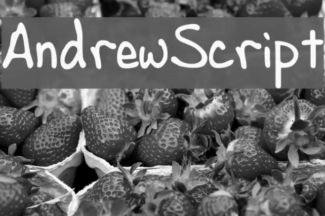 AndrewScript Schriftart examples