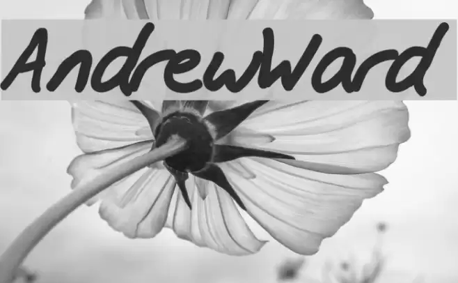 AndrewWard Schriftart examples
