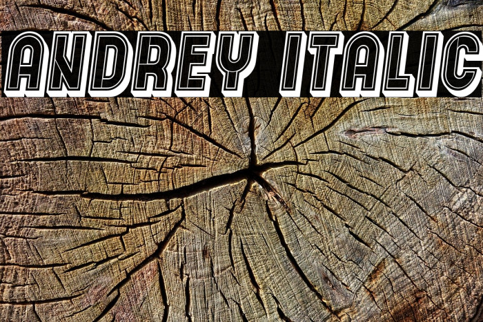 Andrey Italic Example 1