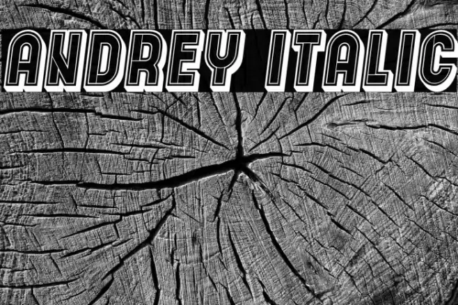 Andrey Italic Font examples