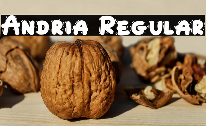 Andria Regular Example 1