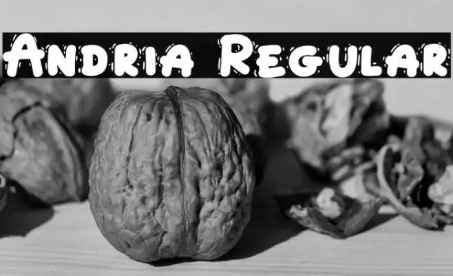 Andria Regular Font examples
