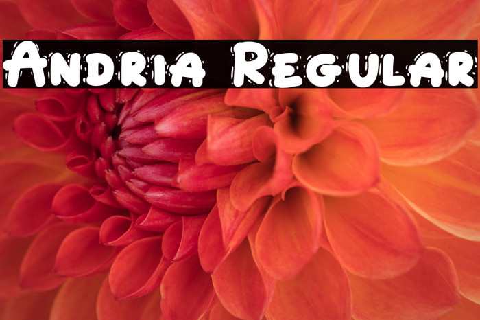 Andria Regular Example 2