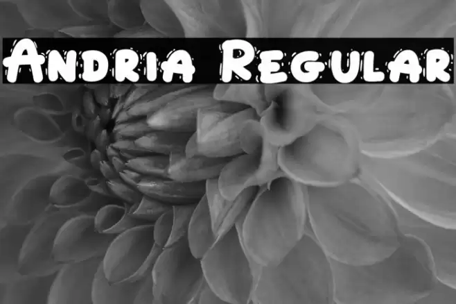 Andria Regular Font examples