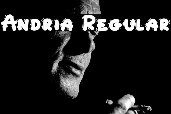 Andria Regular Example 3