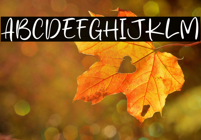 Andria Signature Example 2